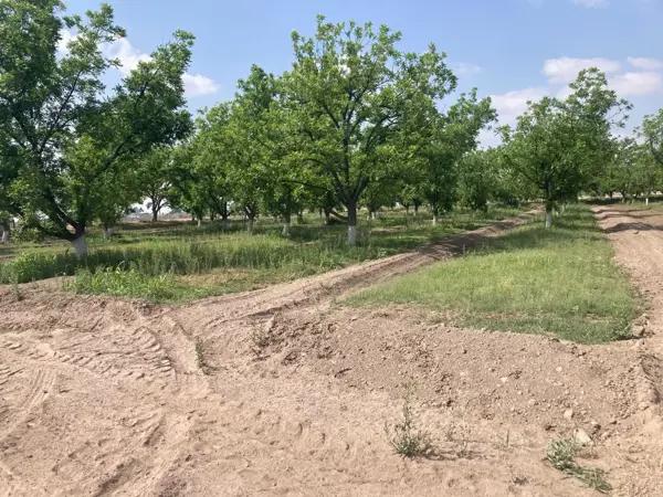 Finca-Rancho en venta en San Pedro Centro, San Pedro, Coahuila de Zaragoza
