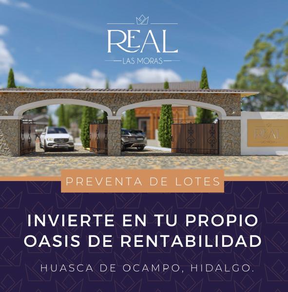 VENTA DE LOTES, REAL LAS MORAS, LA MORA, HUASCA, HIDALGO