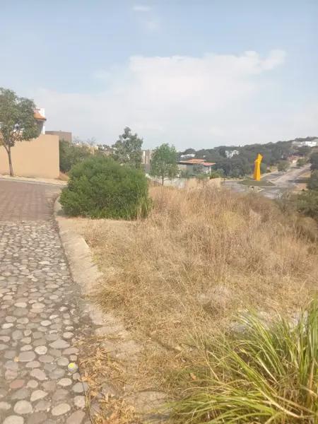 Terreno en Rancho San Juan de 8,000m2 frente al parque con proyecto arquitectonico