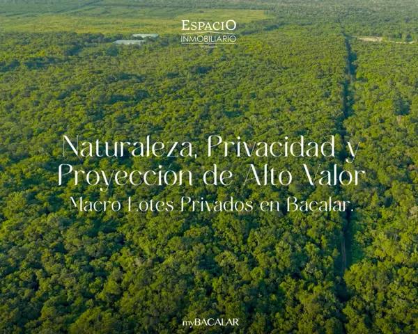 Venta de Macrolotes para Desarrollo en Bacalar Q.Roo
