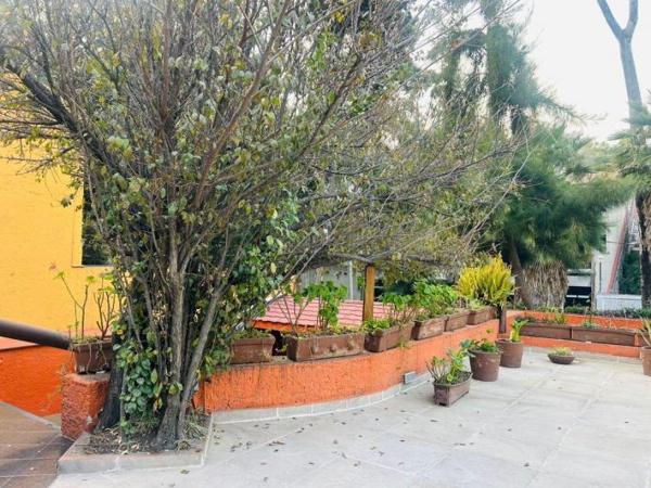 Preciosa casa en renta 
Colinas del Bosque 
Tlalpan