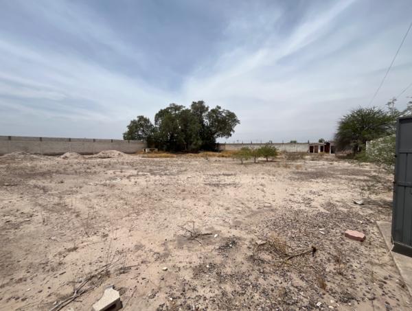 Se vende amplio terreno ejidal en Ejido El Cambio Se vende amplio terreno ejidal en Ejido El Cambio