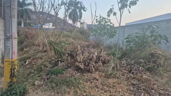 Terreno en venta en Las Fincas, Jiutepec, Morelos