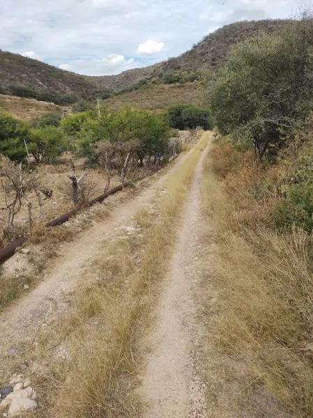 Terreno en venta Colomos Calvillo Aguascalientes (SE)
