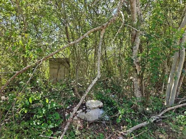 Terreno de 4000 m2 en venta en Fracc. San José Kuche