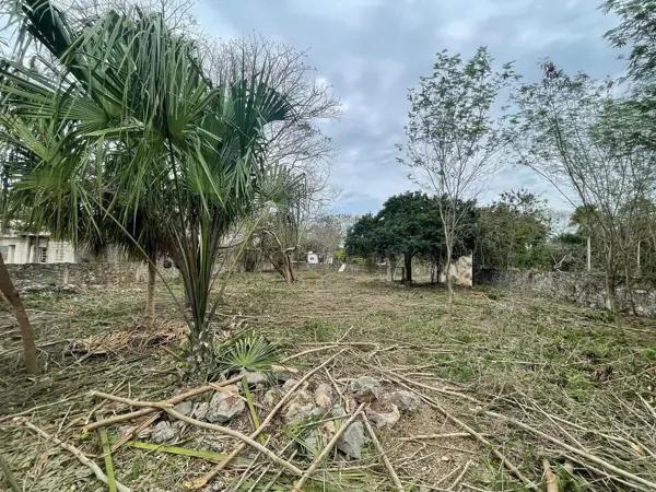Terreno de 1500 m2 en venta en Komchén