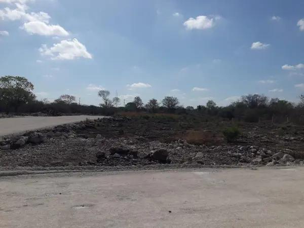 Terreno en venta al poniente de Mérida, cerca de Perifèrico Terreno en venta al poniente de Mérida, cerca de Perifèrico