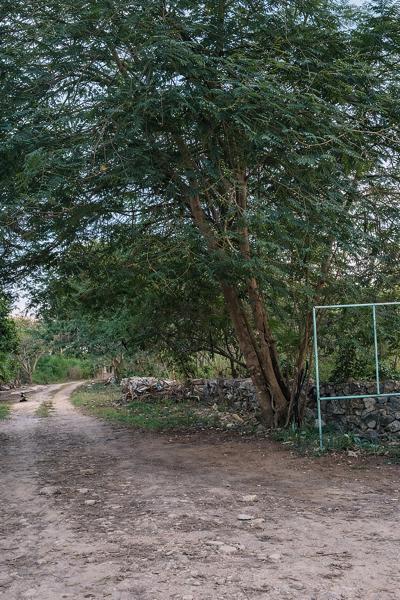 Terreno de 988 m2 en venta en Conkal