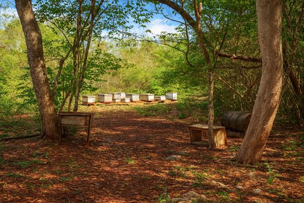Terreno de 444 hectáreas en venta en Muna Terreno de 444 hectáreas en venta en Muna
