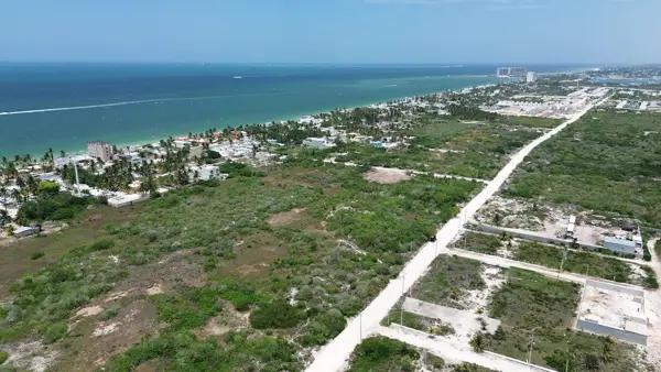 LOTES EN VENTA CERCA DE LA PLAYA EN CHELEM, YUCATÁN