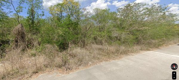 TERRENO EN TEMOZÓN PARA DESARROLLAR $4,200 por m² EN VENTA TERRENO EN TEMOZÓN PARA DESARROLLAR $4,200 por m² EN VENTA