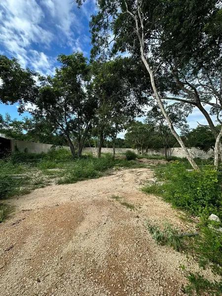 Terreno de 1,531 m2 en venta en Temozón Norte