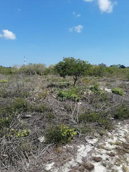 Terreno de 500m2 en Venta en Chicxulub Puerto, Progreso, Yucatán Terreno de 500m2 en Venta en Chicxulub Puerto, Progreso, Yucatán