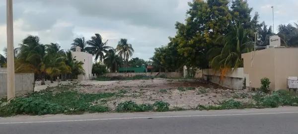Terreno de 1,214 m2 en venta sobre carretera costera de Telchac Puerto