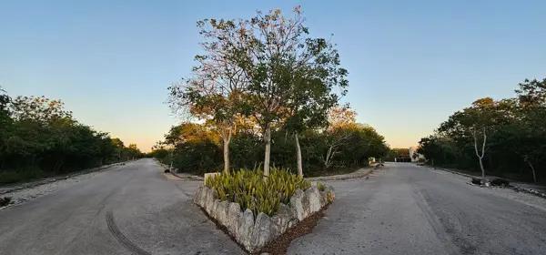 Terreno de 733 m2 en venta en Residencial Dzidzil-Há