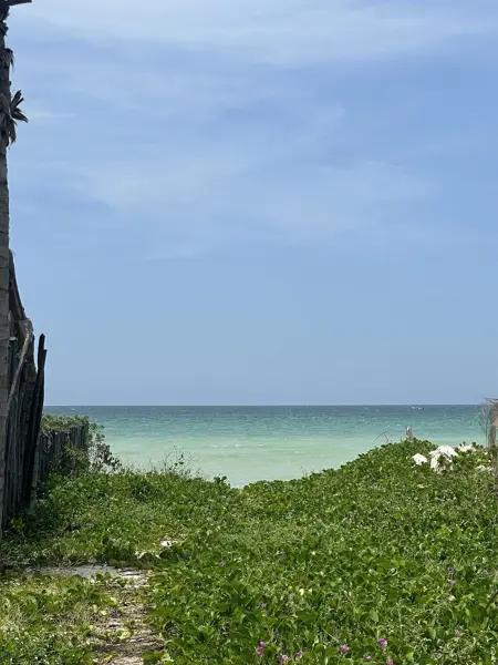 Terreno de 485m2 en la playa de San Benito, Yucatán Terreno de 485m2 en la playa de San Benito, Yucatán
