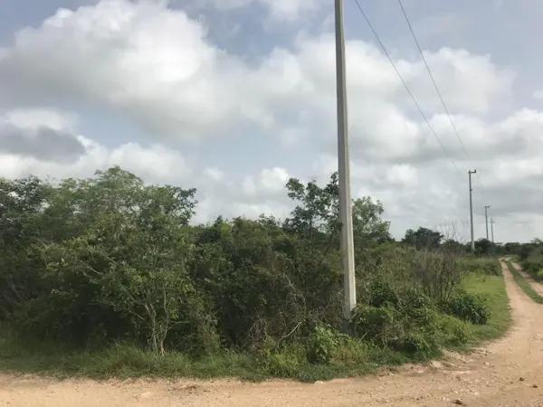 Terreno de 2,888 m2 en venta en Quintas Cholul Terreno de 2,888 m2 en venta en Quintas Cholul