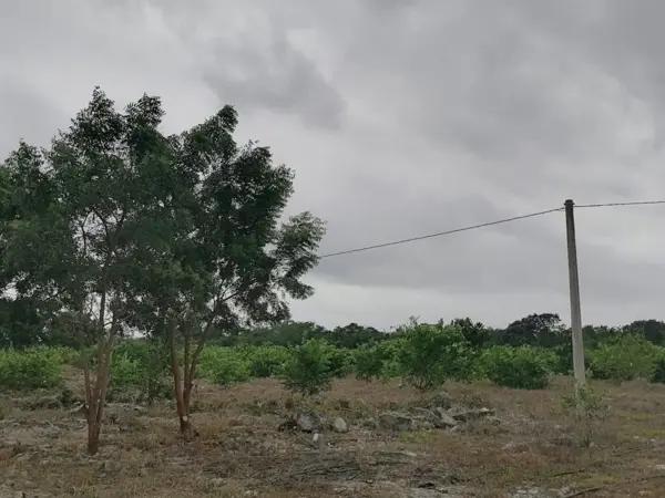 Finca de 23 hectáreas en venta en Yobaín, Yucatán