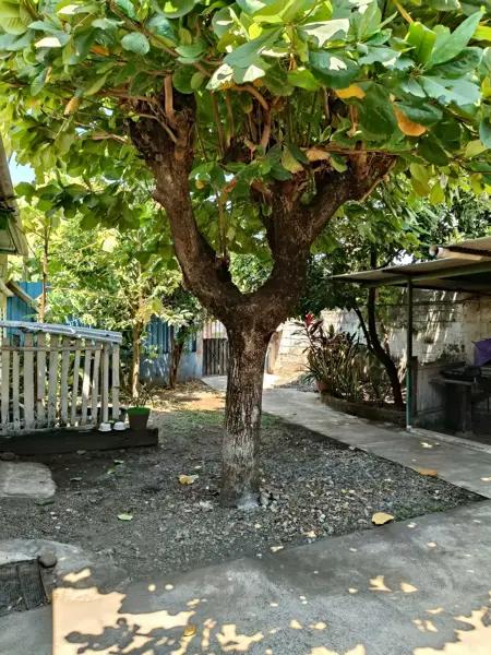 CASA EN VENTA EN TAPACHULA