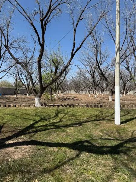 Quinta en Venta en Villa Juárez Lerdo Durango