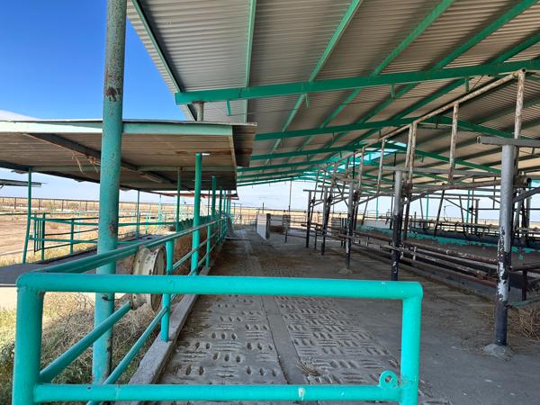 Rancho en Venta en Fco. I. Madero, Coahuila Rancho en Venta en Fco. I. Madero, Coahuila