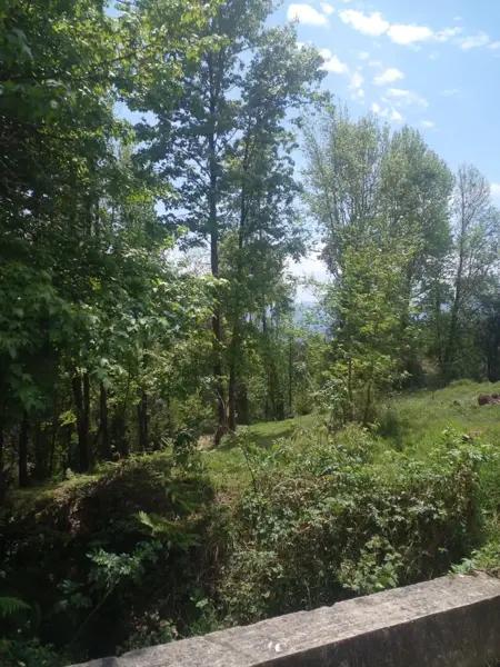 Terreno en Venta Xico