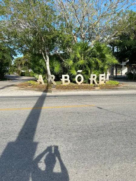 TERRENO EN VENTA PARA DESARROLLO – ZONA ARBÓREA, Conkal