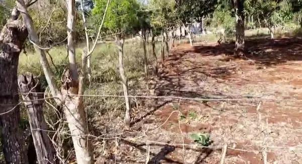 TERRENO EN VENTA – COL. SANTA ROSA DE LIMA, Tizimín TERRENO EN VENTA – COL. SANTA ROSA DE LIMA, Tizimín