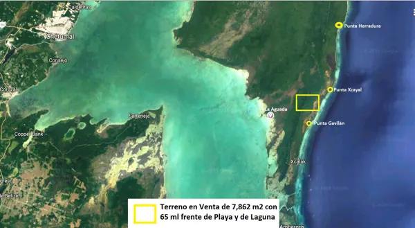 TERRENO EN VENTA 65 m OCEAN FRONT, XCALAK, Q. Roo. Frente CHINCHORRO