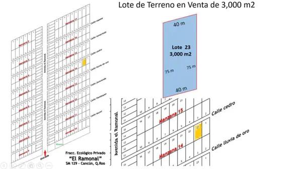 Lote de Terreno Ecológico, Venta de 3,000 m2, Fracc. El Ramonal, Carretera Cancún-Mérida Lote de Terreno Ecológico, Venta de 3,000 m2, Fracc. El Ramonal, Carretera Cancún-Mérida
