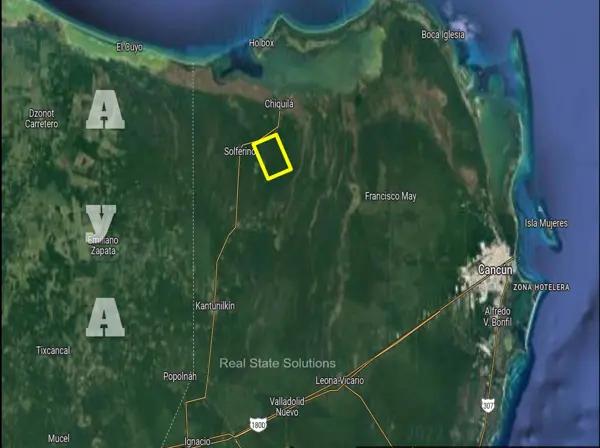 Terreno en Venta de 15 Has. A 2 Km de Solferino, Lázaro Cárdenas, Quintana. Roo.