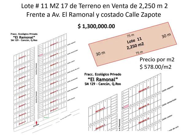 Terreno Ecológico con Luz, Venta de 2,250 m2, El Ramonal, Cancún-Mérida