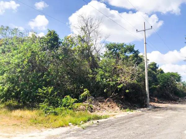 Terreno en Venta Alfredo V. Bonfil Colonia Doctores, Cancún Quintana Roo