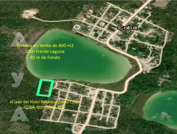 Terreno en Venta de 800 m2, al lado Hotel Coqui Coqui, y 20 m de frente Laguna de Cobá, Tulum. Terreno en Venta de 800 m2, al lado Hotel Coqui Coqui, y 20 m de frente Laguna de Cobá, Tulum.