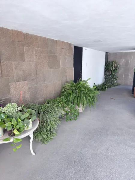 SE RENTA DEPARTAMENTO ,1 PISO, VISTA HERMOSA, MTY, N.L. SE RENTA DEPARTAMENTO ,1 PISO, VISTA HERMOSA, MTY, N.L.