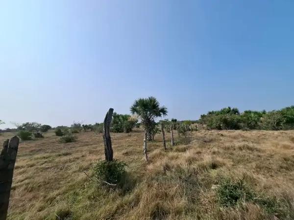 Terreno para Actividades Productivas en el guayabo en Medellín, Veracruz
