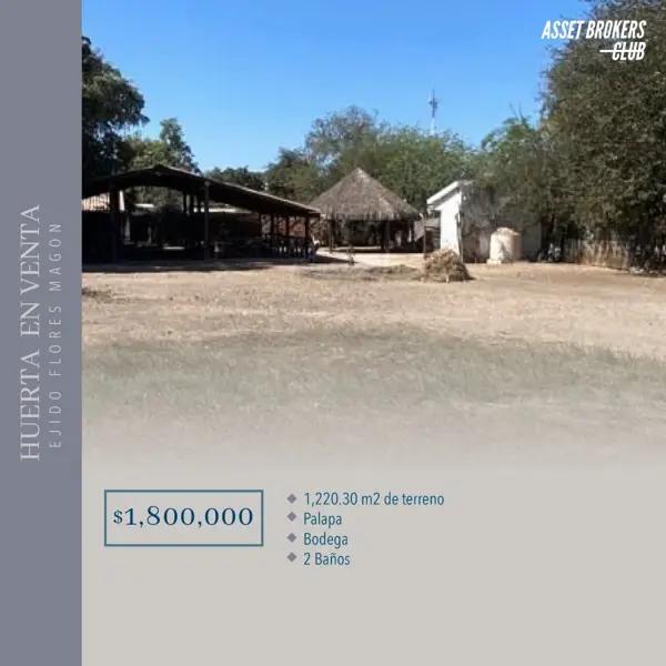 HUERTA EN VENTA EJIDO FLORES MAGÓN