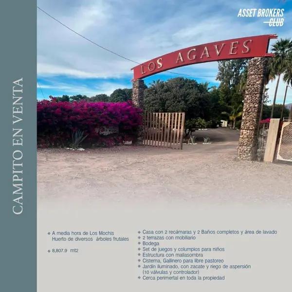CAMPITO EN VENTA