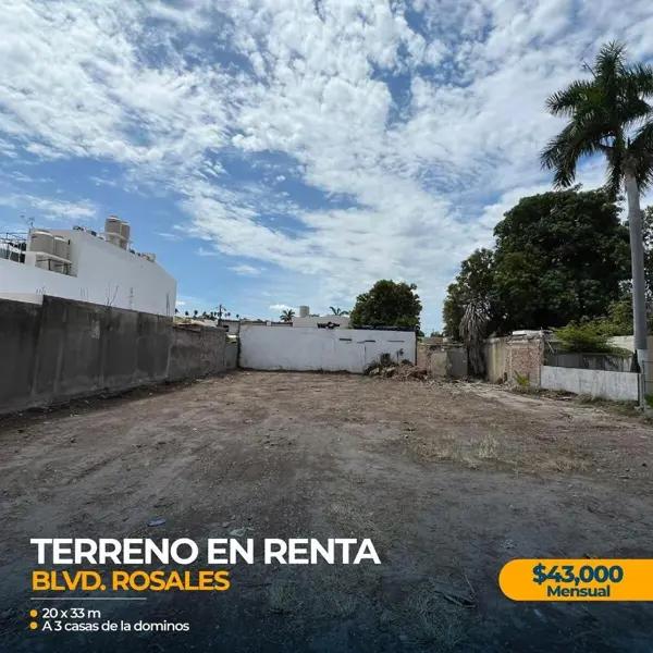 TERRENO COMERCIAL EN RENTA