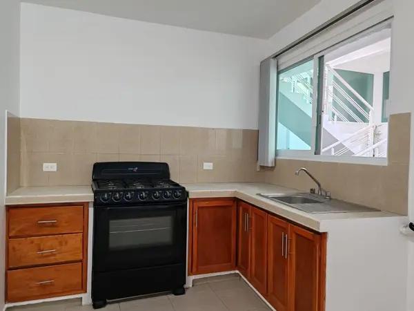 Renta Departamento por año, zona CECAN