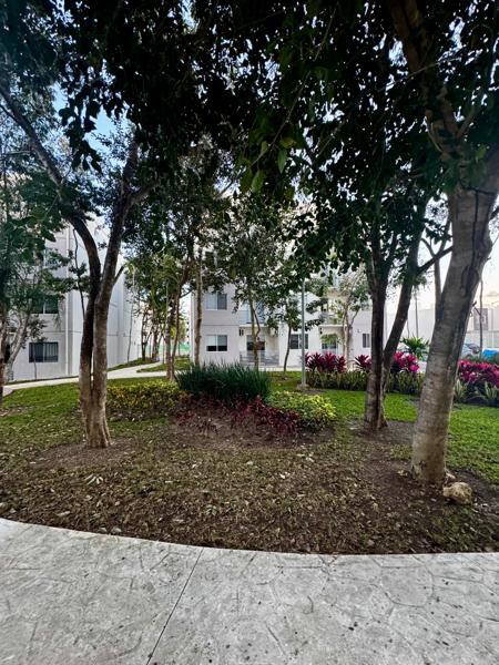Departamento en renta de 3 recámaras cerca de servicios en Almazara, Playa del Carmen Departamento en renta de 3 recámaras cerca de servicios en Almazara, Playa del Carmen