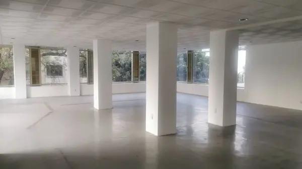 SE RENTA OFICINA EN INSURGENTES