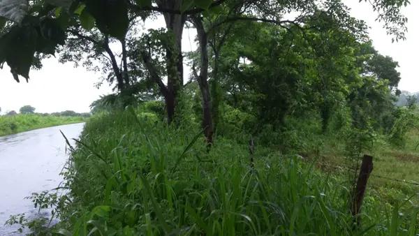 Terreno a orilla de carretera en el Buzón Veracruz 20.5 hectáreas