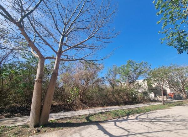 TERRENO EN VENTA EN PRIVADA CERCA DE LA ISLA MÉRIDA YUCATÁN