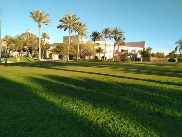 Terreno en Venta, Montebello, Torreón Coah. Terreno en Venta, Montebello, Torreón Coah.