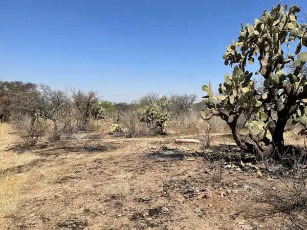 Terreno en Venta en El Loretito, San Francisco de Los Romo, Ags (GA)