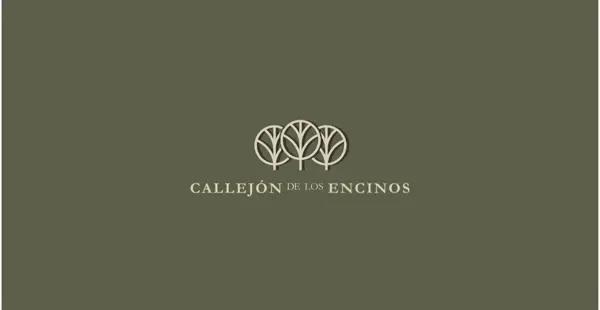 TERRENO EN VENTA CALLEJÓN DE LOS ENCINOS