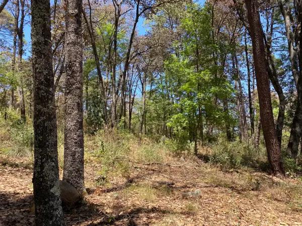 SE VENDE LOTE EN RESIDENCIAL QUINTA ANDREA, EN HUASCA DE OCAMPO, HGO. - PUEBLO MÁGICO