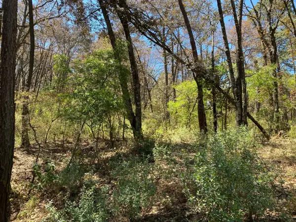 SE VENDE LOTE EN RESIDENCIAL QUINTA ANDREA, EN HUASCA DE OCAMPO, HGO. - PUEBLO MÁGICO
