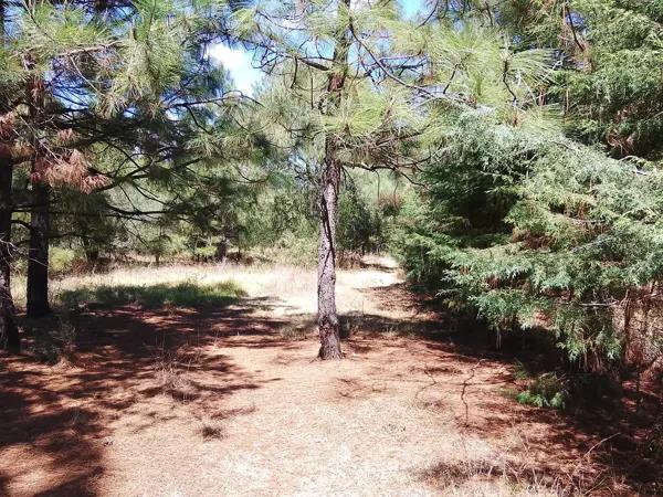 SE VENDE LOTE EN RESIDENCIAL QUINTA ANDREA, EN HUASCA DE OCAMPO, HGO. - PUEBLO MÁGICO